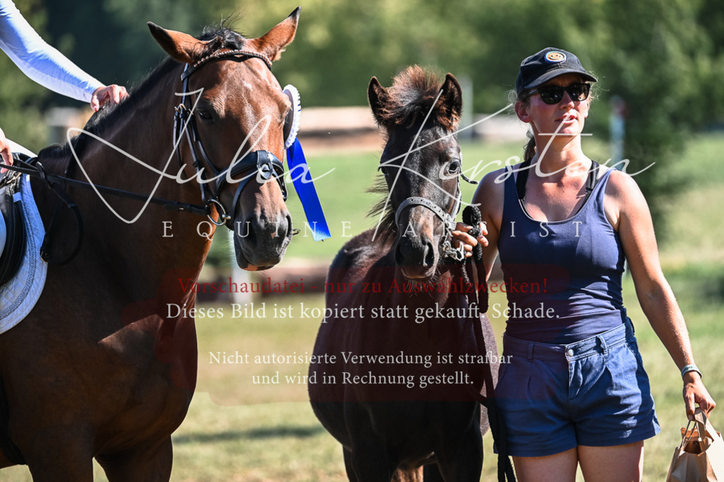 DSC_7016 | Pferde- und Turnierfotografie in Westsachsen. Pferdeportraits, Auftragszeichnungen und intuitive Kunst.