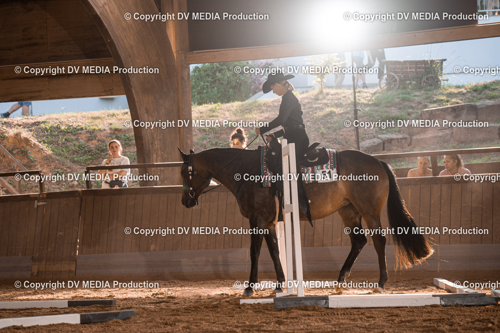 NE101202 | dv-media-shop - Realisiert mit Pictrs.com