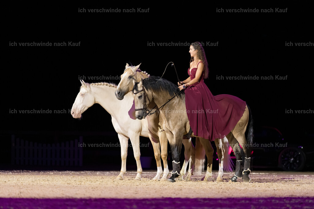 Gala-127 | working equitationturnier fotograf videograf stoibphotography marixx film working equitation deutschland reitsport turnierfotografie eventfotografie equestrian events