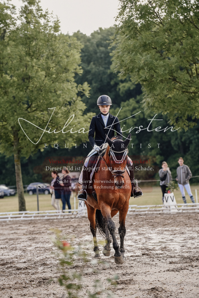 DSC_8155 | Pferde- und Turnierfotografie in Westsachsen. Pferdeportraits, Auftragszeichnungen und intuitive Kunst.