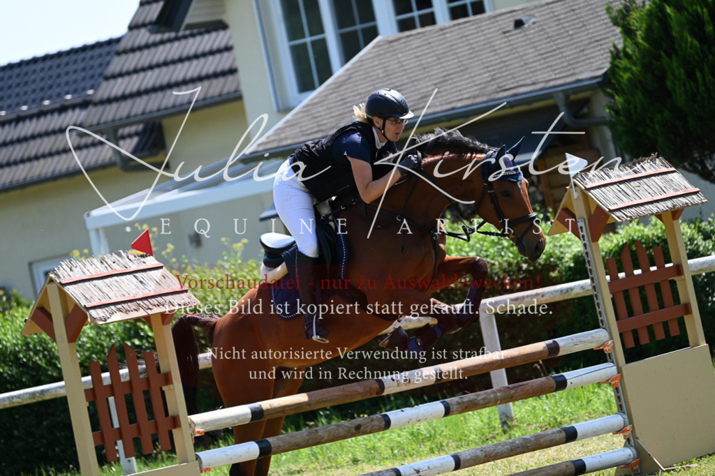 DSC_0640 | Pferde- und Turnierfotografie in Westsachsen. Pferdeportraits, Auftragszeichnungen und intuitive Kunst.