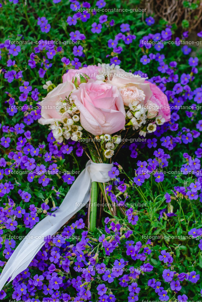 1021 | Fotografie Constance Gruber - Realisiert mit Pictrs.com