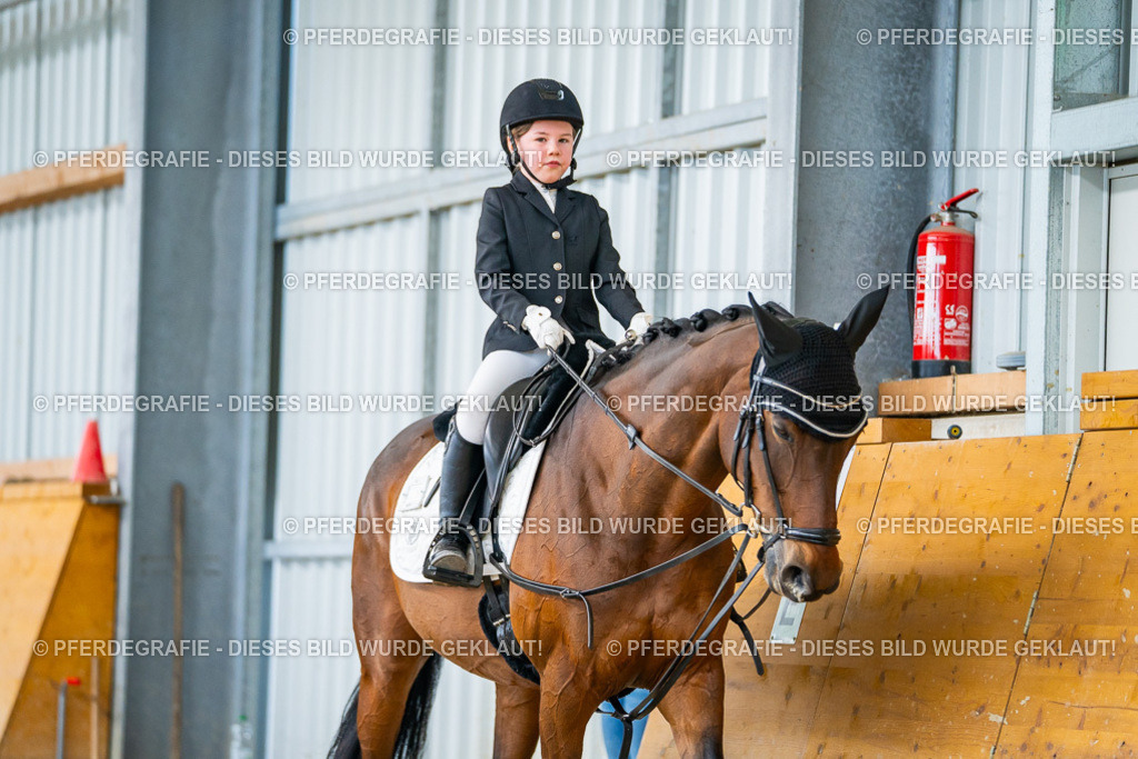 DSC01115 | Pferdegrafie