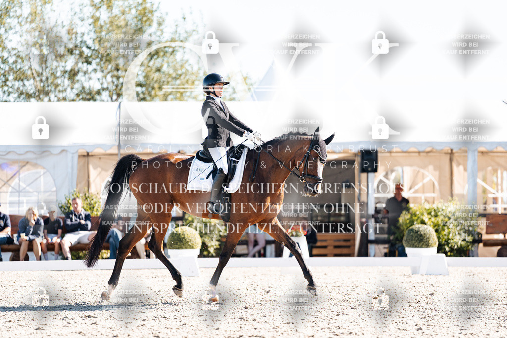 CK908615 | Turnierfotografie Pferdefotografie Trier Rheinland-Pfalz Pferdesport Reitsport Tierfotografie Sportfotografie Pferdevideo Pferdevideografie Equestrianvideography equestrianphotography  - Realisiert mit Pictrs.com