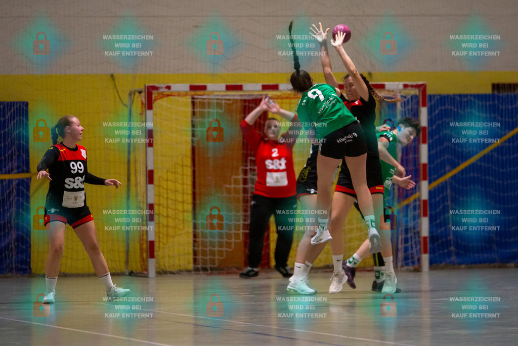 _HP_5028_3000o | TV Welling Damen vs. TV Bassenheim 05.01.2024