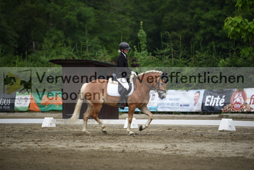 DSC_8181 | equestrian-live-com