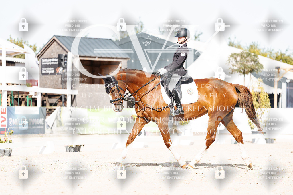 CK905638 | Turnierfotografie Pferdefotografie Trier Rheinland-Pfalz Pferdesport Reitsport Tierfotografie Sportfotografie Pferdevideo Pferdevideografie Equestrianvideography equestrianphotography  - Realisiert mit Pictrs.com