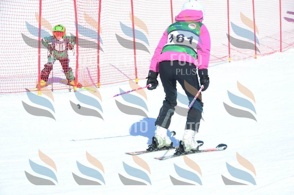 C6216 | holidayphoto