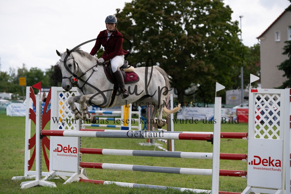 A7V04891 | Pferdefotograf