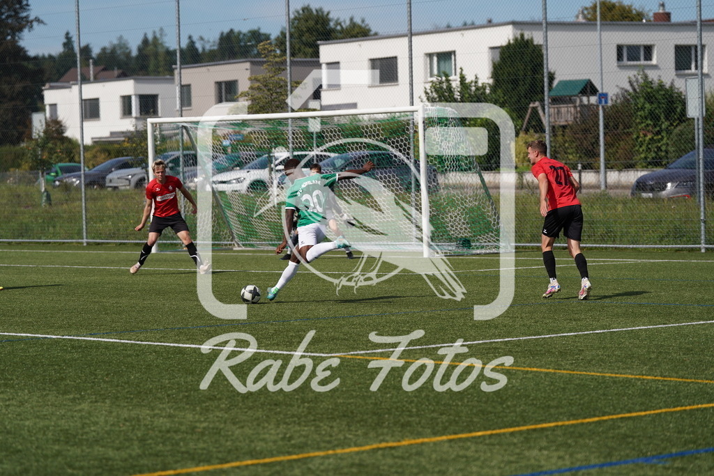 DSC08664 | rabefotos