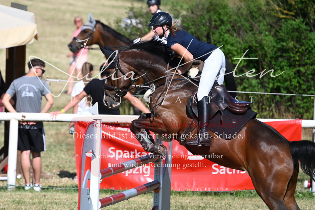 DSC_2027 | Pferde- und Turnierfotografie in Westsachsen. Pferdeportraits, Auftragszeichnungen und intuitive Kunst.