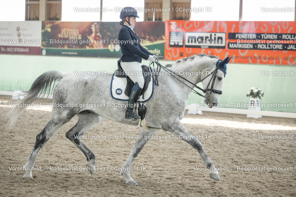 _D5A2687 | Emotionale Pferde- & People-Fotografie rund um Heidelberg, Leimen & Umgebung. Natürliche Fotos von Pferd, Mensch & Familie. Jetzt Termin sichern!