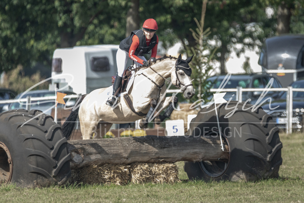 20250907-_3LR7870 | Tierfotografie Pferde, Hunde, Katzen, Haustiere.
Turnierfotografie Reitturniere, Reiten, Springreiten, Dressur in Hanau, dem Main-Kinzig-Kreis und dem Rhein-Main- Gebiet um Frankfurt
