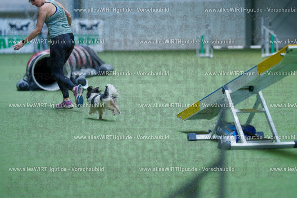 @allesWIRTHgut_Tierfotografie - www.allesWIRTHgut.de - 2604251449-7R505615 | Professionelle Tierfotografie in Mönchengladbach von Daniel Wirth (allesWIRTHgut). Liebevolle & natürliche Bilder von Hunden & Katzen für unvergessliche Erinnerungen.