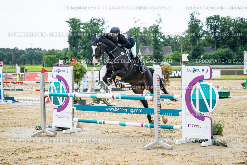 DSC04504 | Pferdegrafie