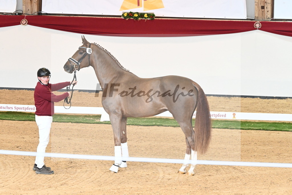 Kat.-Nr. 62 v. Shu Fu_Fischer_2240929 | hf-fotografie - Realizzato con Pictrs.com