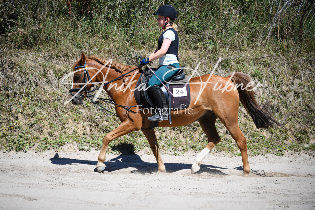 DSC_0978 | anikahuebner - Realisiert mit Pictrs.com