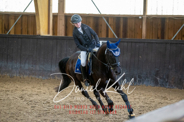 IMG_1946 | Turniersportfotografie; Pferdefotografie; Dressurfotografie