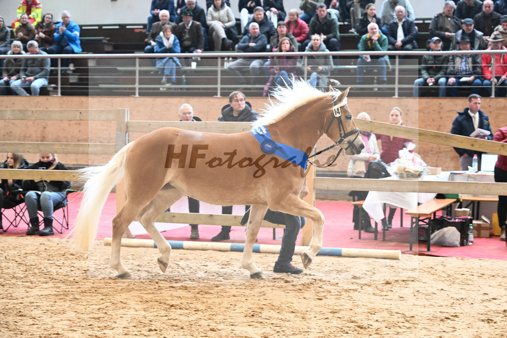 Bl. Band Kat-Nr. 14 Kleopatra v. Aquagon_Lang_48251595 | hf-fotografie - Realisiert mit Pictrs.com