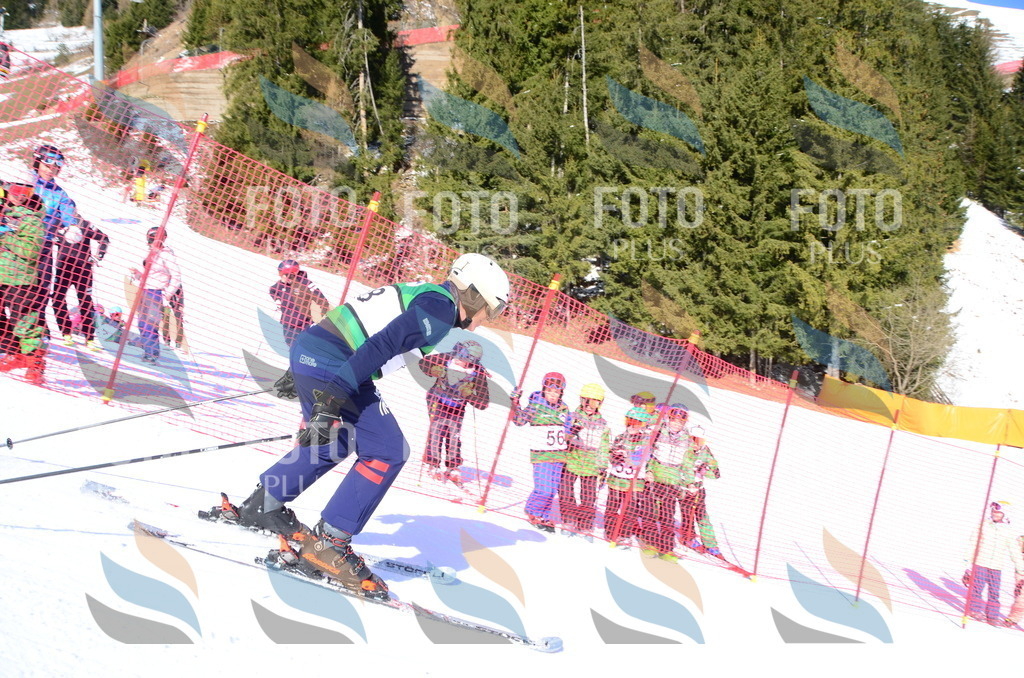 C4562 | holidayphoto