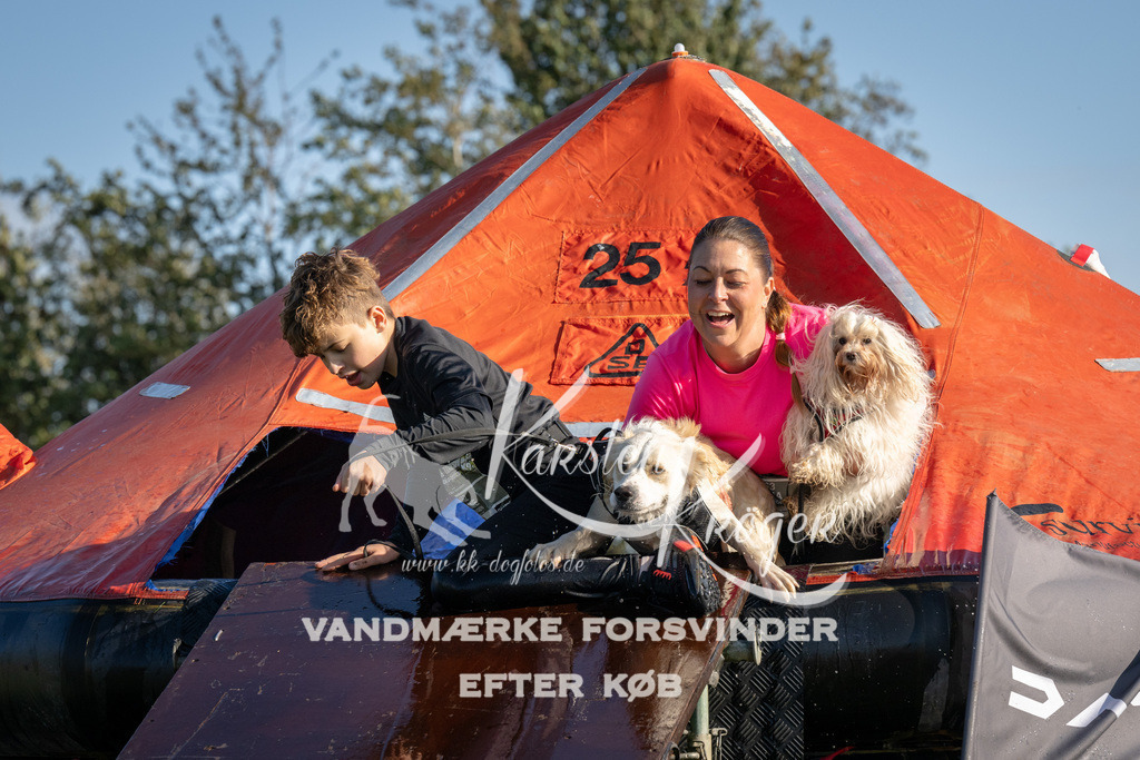 1449-90098 | kk-dogfotos