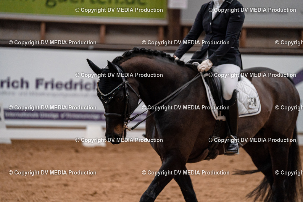 Kranichstein Tag 1-343 | dv-media-shop - Realisiert mit Pictrs.com