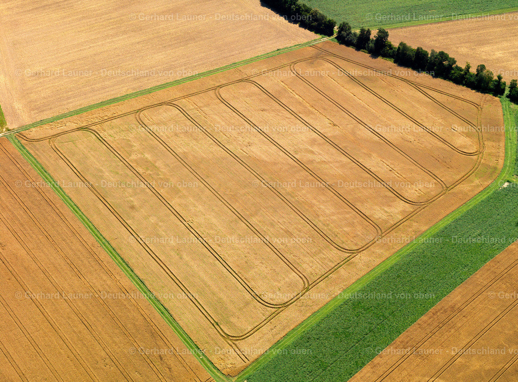 9300395 | Feld-und Baumstrukturen bei Münstermaifeld