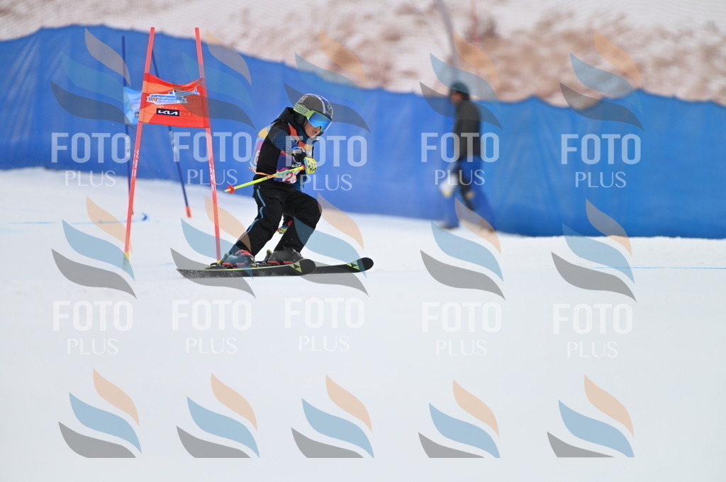 BGV_2713 | holidayphoto