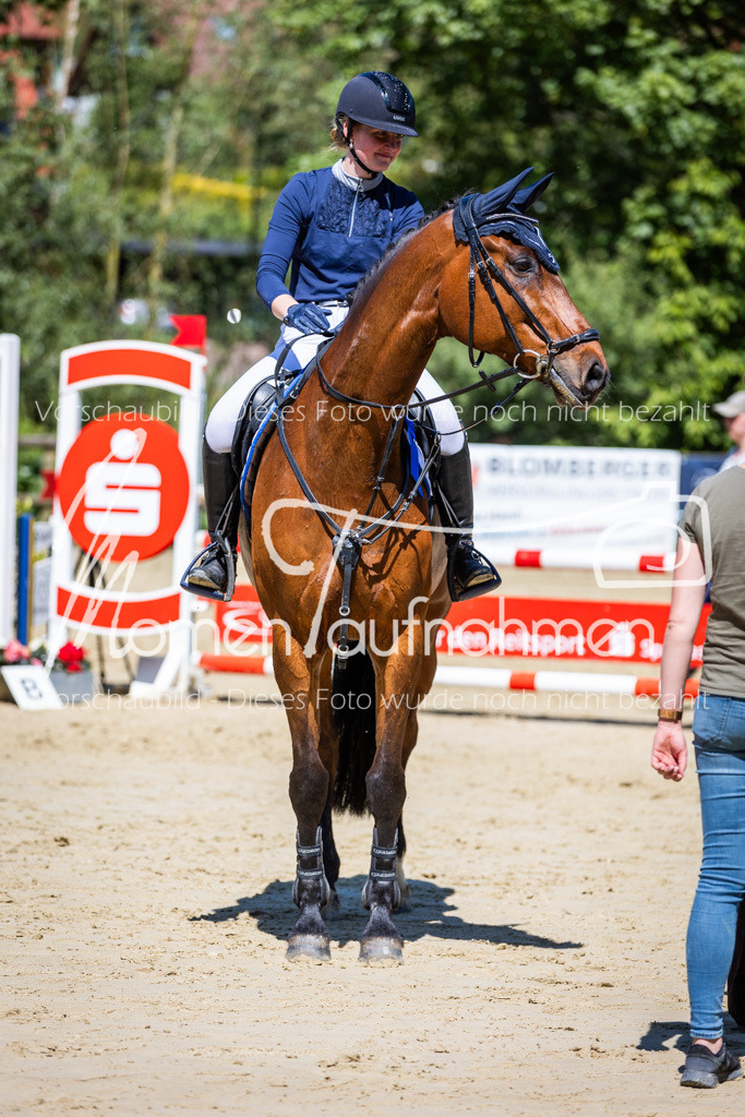 Donop24-L-Spr-057 | MomenTaufnahmen Pferdesportfotos