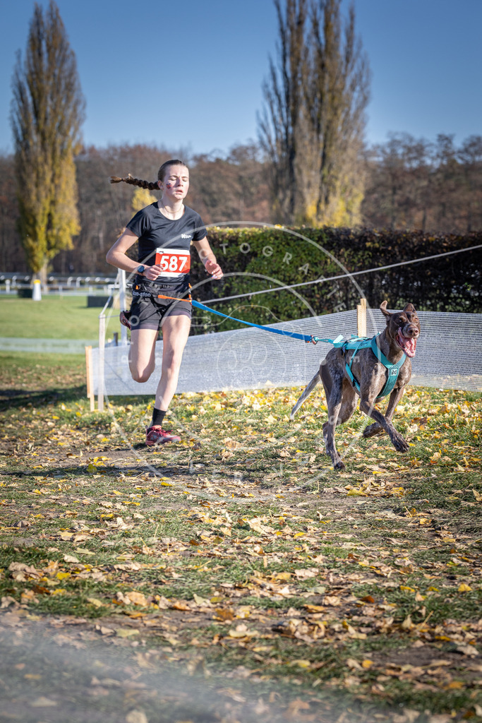 CaniXpix_DV3A9180 | Hundefotografie, Tierfotograf, Pfotenfotografie, Fotoshooting Hund, Hunde Portrait, Hundesport, Hundeportraits, Heideshooting, Hunde, Sportfotograf, Hundefotograf, Turnierhundsport, THS,  - Realisiert mit Pictrs.com