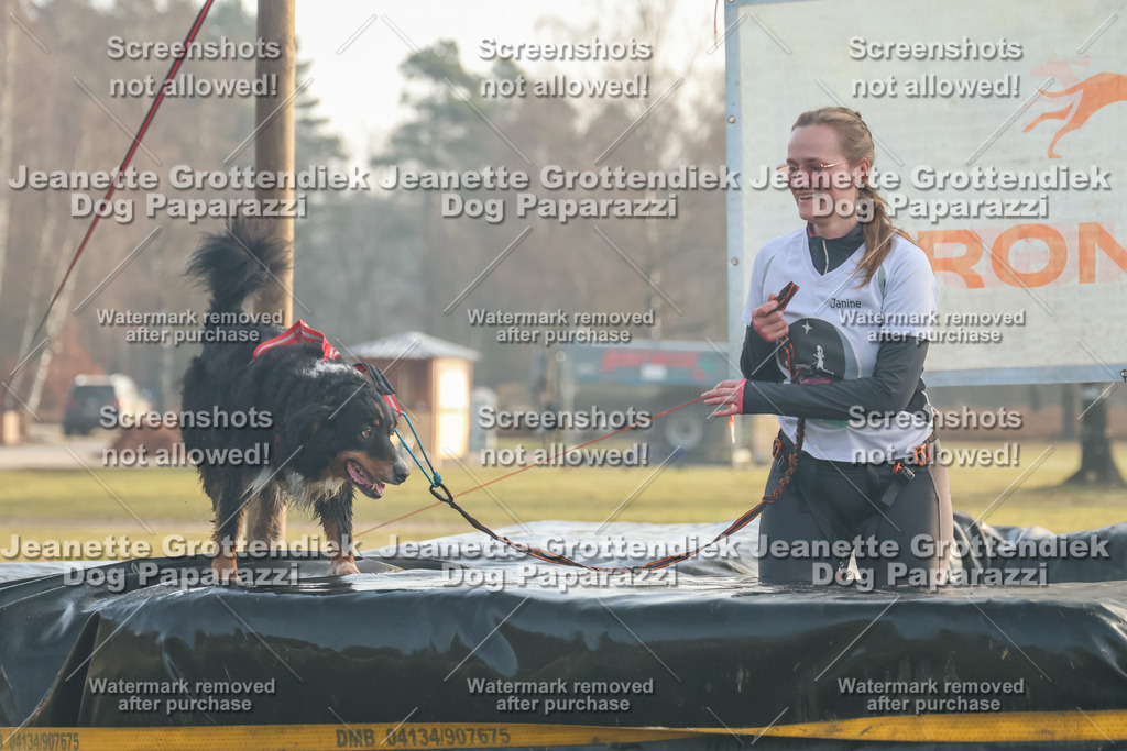 Dog Paparazzi - SD North Sa 830-900-4 | Dog Paparazzi Jeanette Grottendiek Fotografie & Videografie - Realisiert mit Pictrs.com