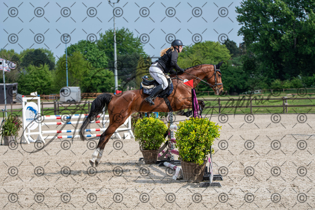 KPT_2494 | andre_photographic