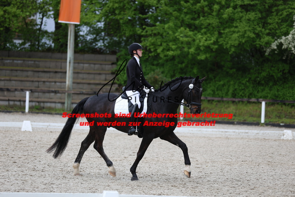 A40A9789 | lmwpictures - Realisiert mit Pictrs.com