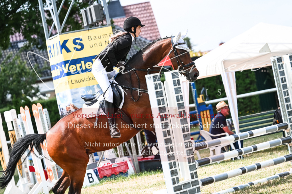 DSC_9389 | Pferde- und Turnierfotografie in Westsachsen. Pferdeportraits, Auftragszeichnungen und intuitive Kunst.