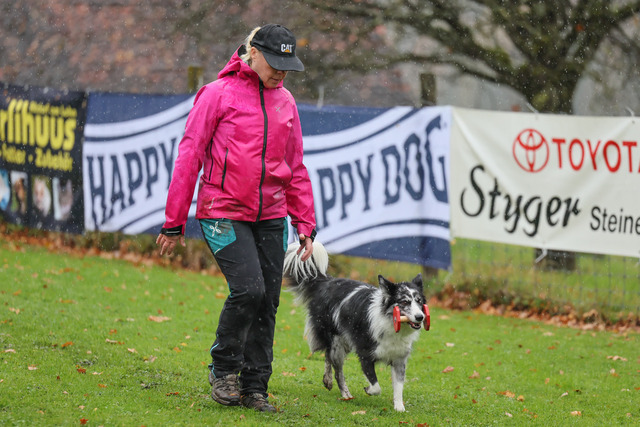 2025_Rally_Obedience_SM-134 | Ich fotografiere Hundeausstellungen, Sportanlässe, Zuchtstätten, Hundezucht, Hundeportrait, Lagotto - Realisiert mit Pictrs.com