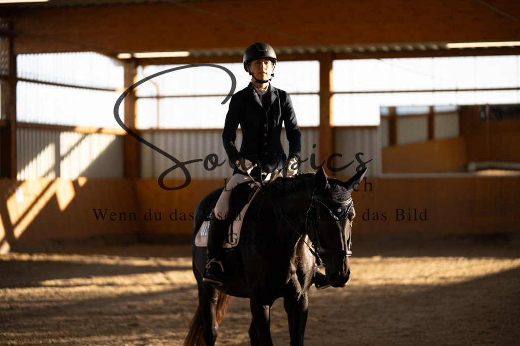 A7V01629 | Turnier/Reitfotograf