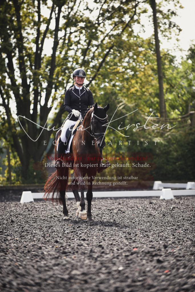 DSC_3705 | Pferde- und Turnierfotografie in Westsachsen. Pferdeportraits, Auftragszeichnungen und intuitive Kunst.
