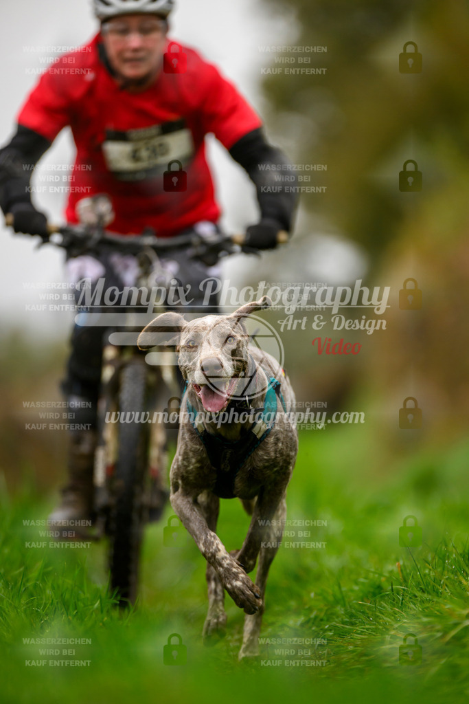 MompixPhotography_20TSB_E8_Bike-146 | PayLife