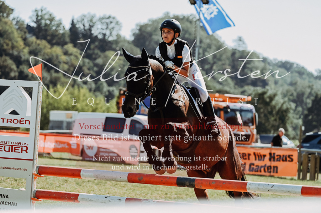 DSC_6779 | Pferde- und Turnierfotografie in Westsachsen. Pferdeportraits, Auftragszeichnungen und intuitive Kunst.