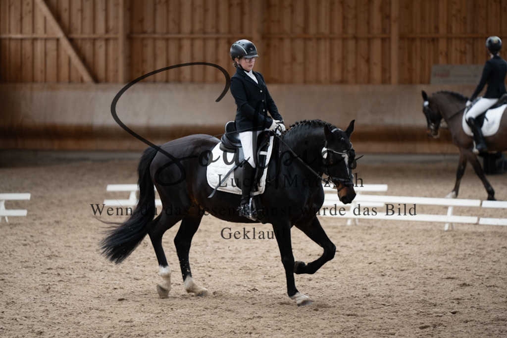 A7V09649 | Pferdefotograf