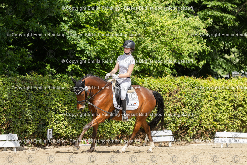 CL5A0678 | Emilia Reinking Fotografie - Realisiert mit Pictrs.com