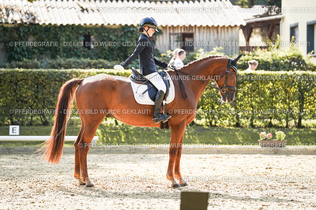 DSC08477 | Pferdegrafie