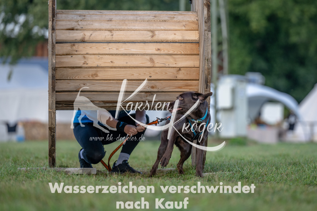 1014_ZZ91975 | kk-dogfotos