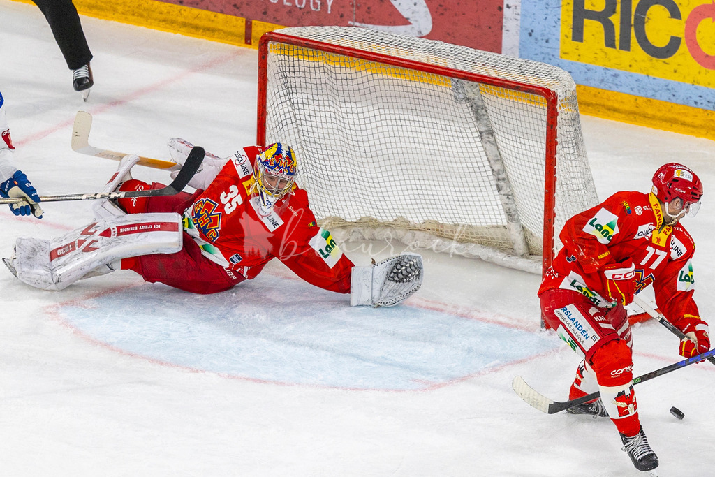 EHCB vs EVZ 20260227_WB-7405 | Sportbilder, Sportfotograf, Hochzeits- und Eventfotografin, Flugshows, Portraits und Tiershooting, Aviation, Downhill, Nationalleague, Swissleague, International