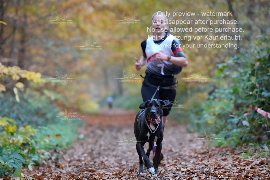 CC_So-61 | stephaniefillaphotographie - Realisiert mit Pictrs.com