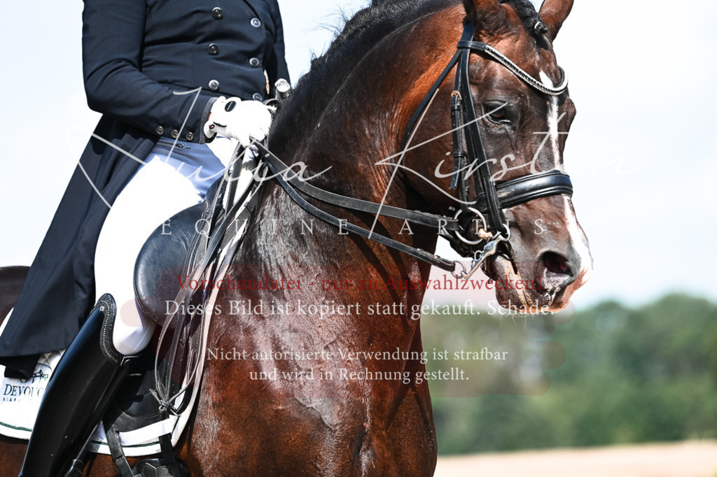 DSC_2956 | Pferde- und Turnierfotografie in Westsachsen. Pferdeportraits, Auftragszeichnungen und intuitive Kunst.