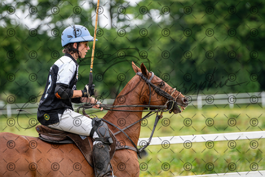 POL_3879 | andre_photographic