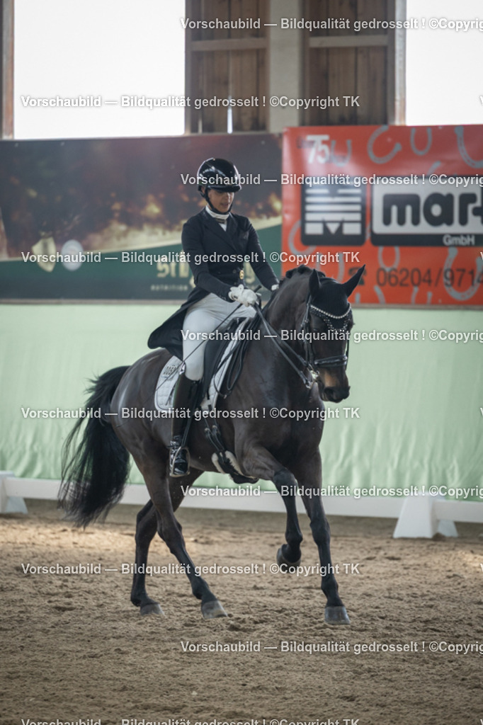 _D5A4771 | Emotionale Pferde- & People-Fotografie rund um Heidelberg, Leimen & Umgebung. Natürliche Fotos von Pferd, Mensch & Familie. Jetzt Termin sichern!