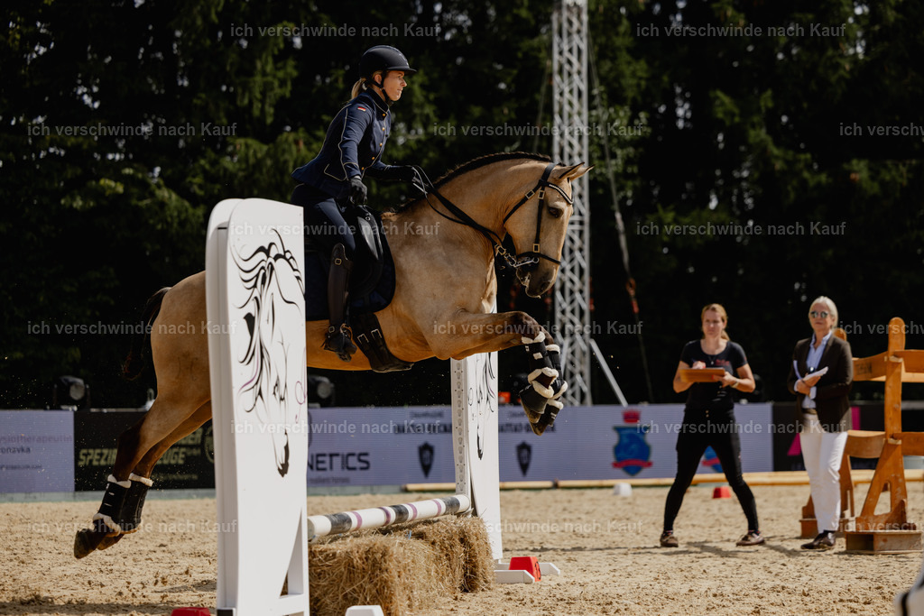 Diana11_FHC2025-20560 | working equitationturnier fotograf videograf stoibphotography marixx film working equitation deutschland reitsport turnierfotografie eventfotografie equestrian events