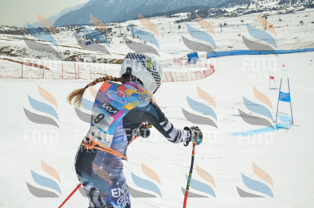 _ELE4533 | holidayphoto